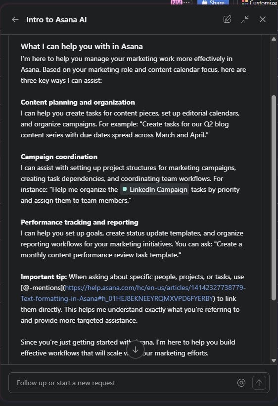 Asana AI outlining its abilities relating to my dashboard