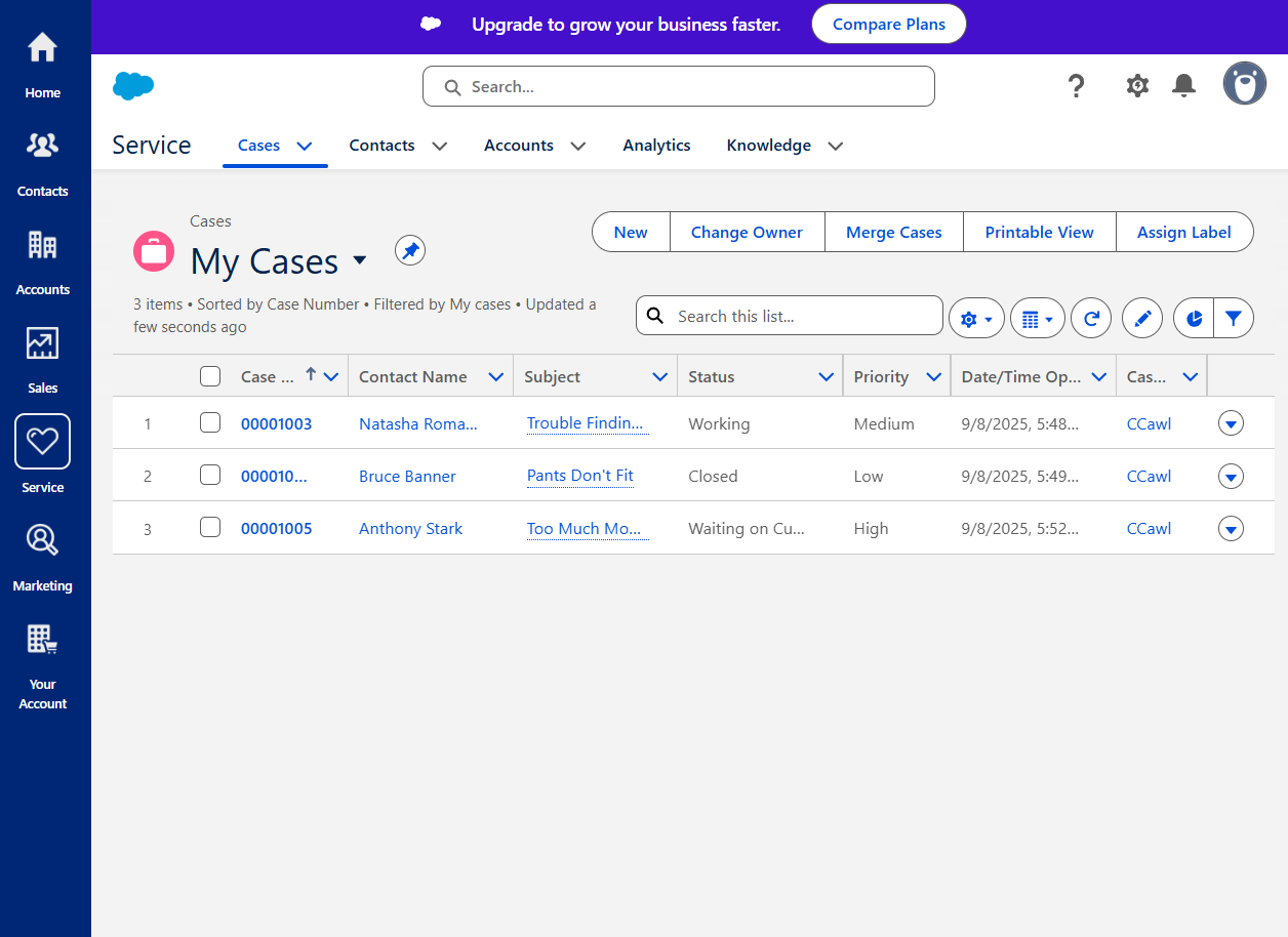 Salesforce Free Plan Service Cases